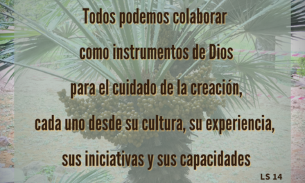 6 Semana Laudato SI