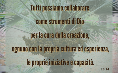 6 Settimana Laudato SI