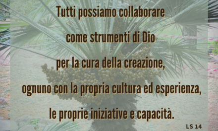 6 Settimana Laudato SI