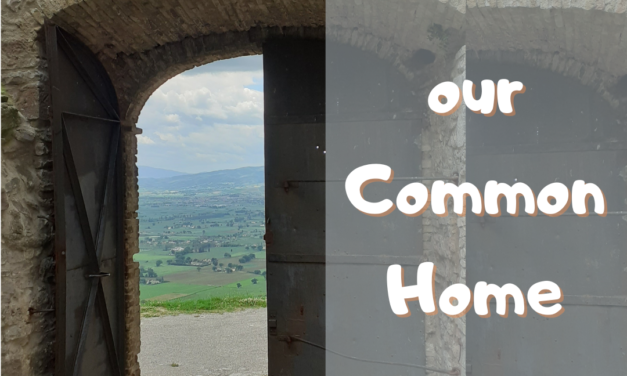 8 Laudato SI Week