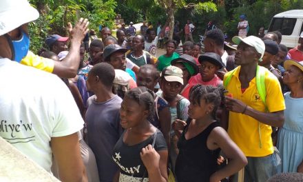 A REVIEW OF THE TRIP THAT SISTER FARZANA HAS MADE TO THE SOUTH OF HAITI